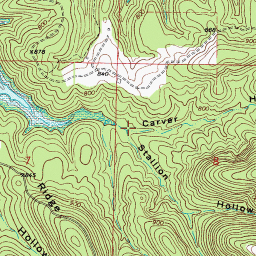 Topographic Map of Stallion Hollow, AR