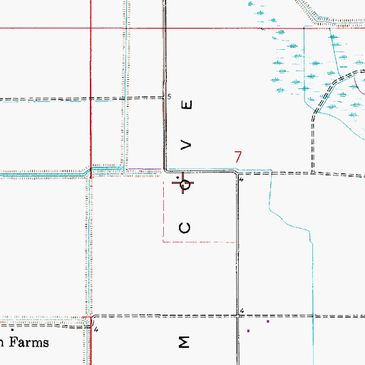 Topographic Map of Choupique Prairie, LA