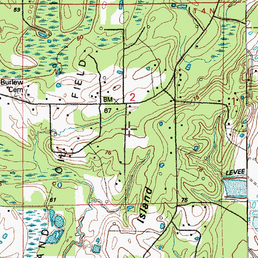 Topographic Map of Big Island School (historical), LA
