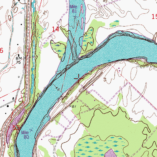 Topographic Map of Bonnegent Landing, LA