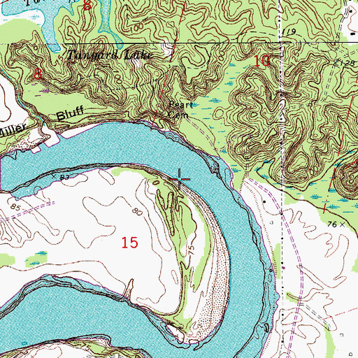 Topographic Map of Cummings Landing, LA