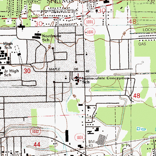 Topographic Map of Immaculate Conception School, LA