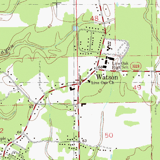 Topographic Map of Live Oak Cemetery, LA