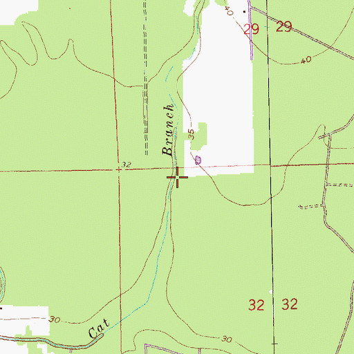 Topographic Map of Tarvon Swamp (historical), LA