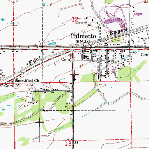Topographic Map of Palmetto Elementary School, LA