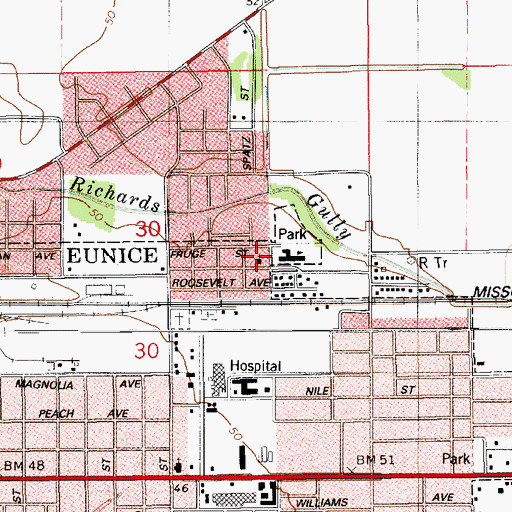 Topographic Map of Saint Luke Baptist Church, LA