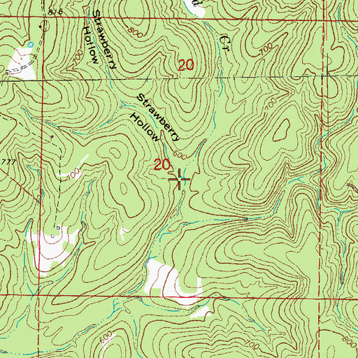 Topographic Map of Strawberry Hollow, AR
