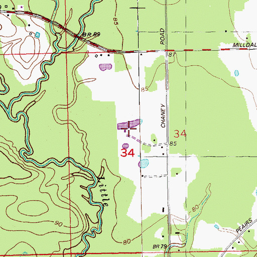 Topographic Map of Junior Deputy Camp, LA