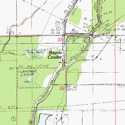 Topographic Map of Bayou Coulee, LA