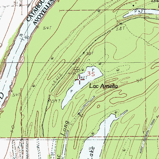 Topographic Map of Lac Amelia, LA