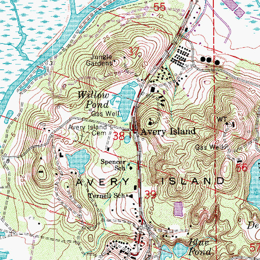 Topographic Map of Avery Island, LA