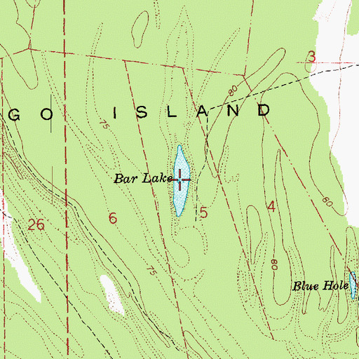 Topographic Map of Bar Lake, LA