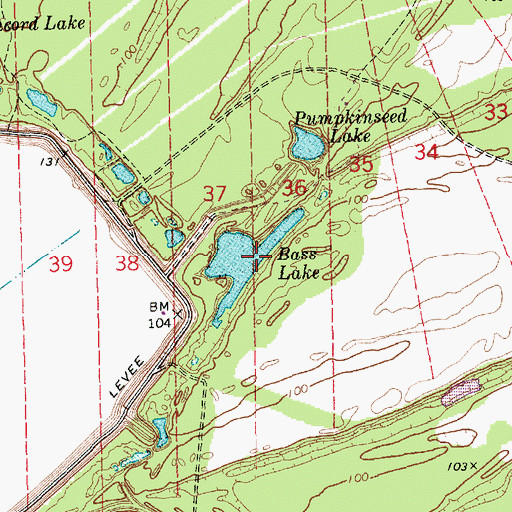 Topographic Map of Bass Lake, LA