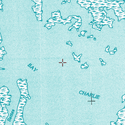 Topographic Map of Bay Charlie, LA