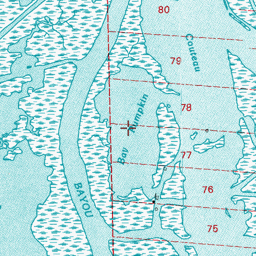 Topographic Map of Bay Pumpkin, LA
