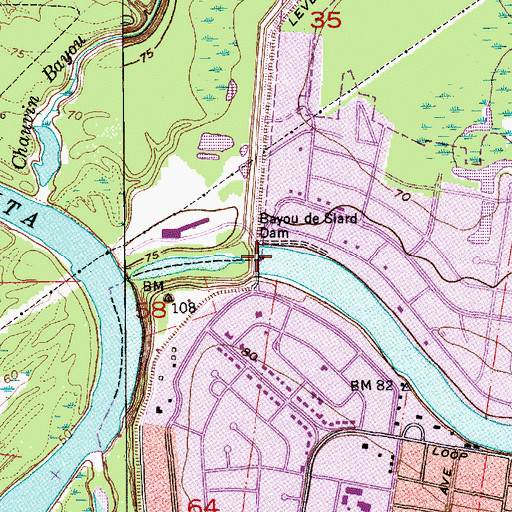Topographic Map of Bayou de Siard Dam, LA