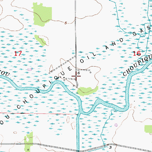 Topographic Map of Bayou Choupique Oil and Gas Field, LA
