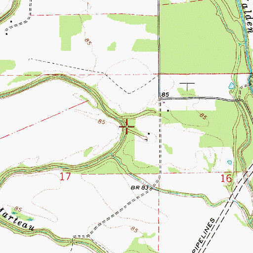 Topographic Map of Bayou Marteau, LA