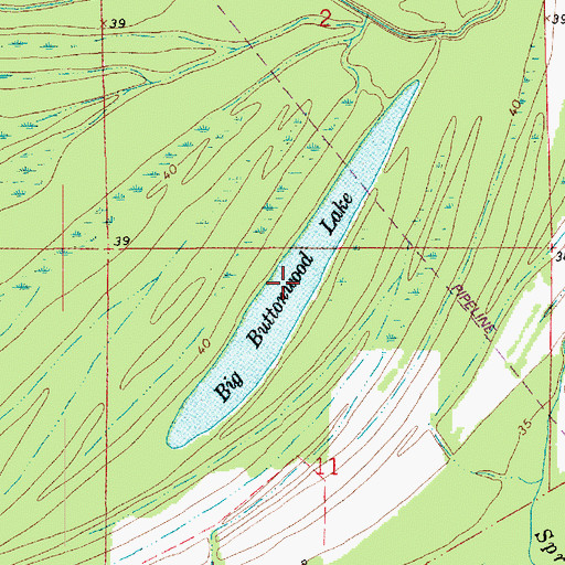 Topographic Map of Big Buttonwood Lake, LA