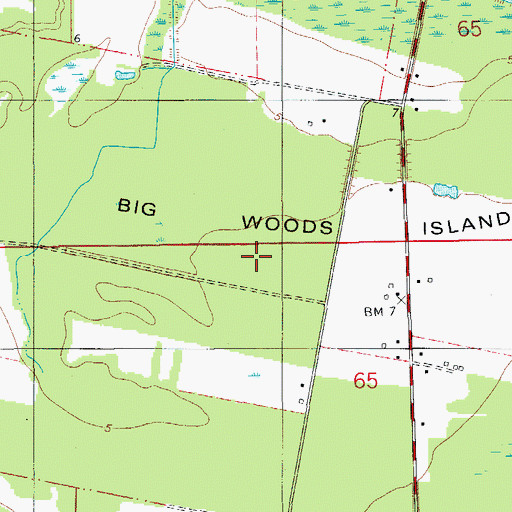 Topographic Map of Big Woods Island, LA