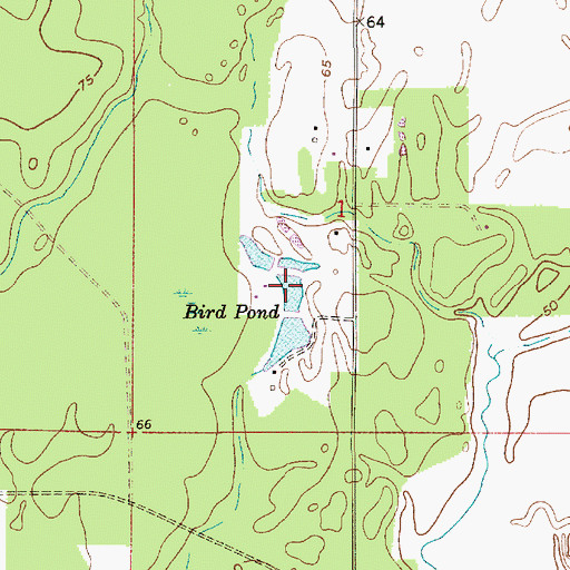 Topographic Map of Bird Pond, LA