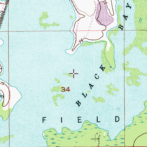 Topographic Map of Black Bayou Lake, LA