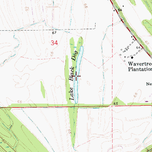 Topographic Map of Lake Black Dog, LA