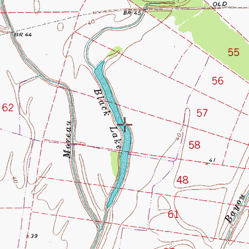 Topographic Map of Black Lake, LA