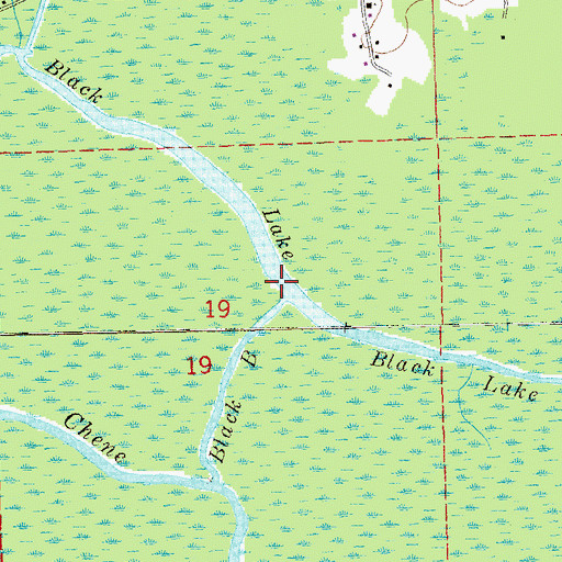 Topographic Map of Black Lake, LA