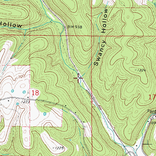 Topographic Map of Swancy Hollow, AR