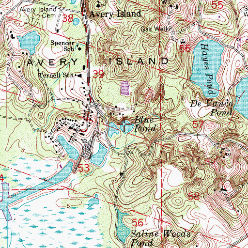 Topographic Map of Blue Pond, LA