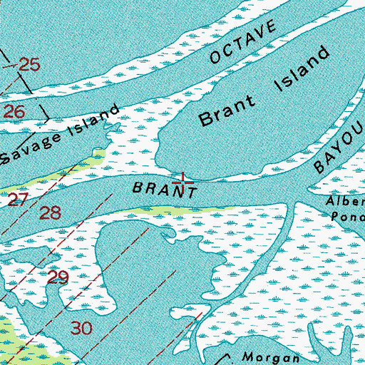 Topographic Map of Brant Bayou, LA