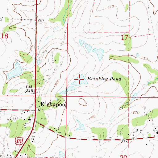 Topographic Map of Brinkley Pond, LA