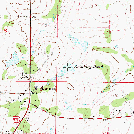 Topographic Map of Brinkley Pond, LA