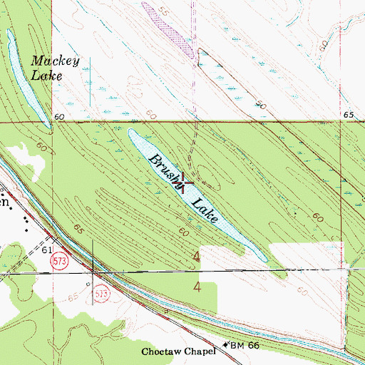 Topographic Map of Brushy Lake, LA