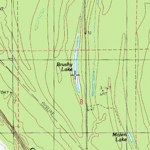 Topographic Map of Brushy Lake, LA