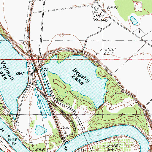 Topographic Map of Brushy Lake, LA