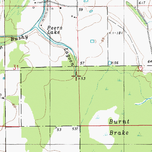 Topographic Map of Bushy Lagoon, LA