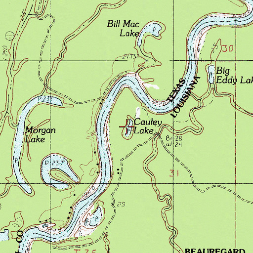 Topographic Map of Cauley Lake, LA