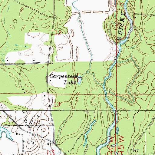 Topographic Map of Carpenters Lake, LA