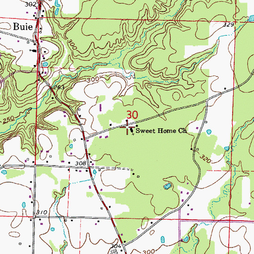 Topographic Map of Sweet Home Church, AR