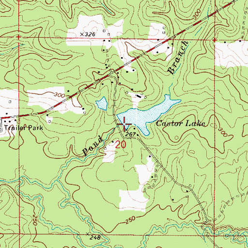 Topographic Map of Castor Lake, LA