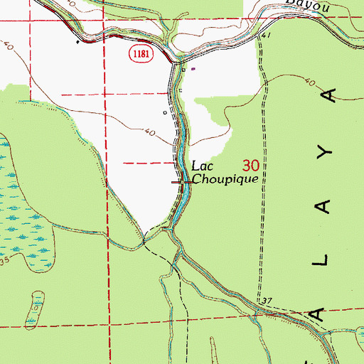 Topographic Map of Lac Choupique, LA