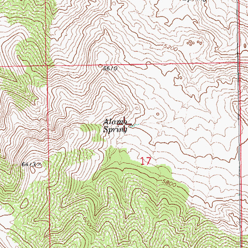 Topographic Map of Alamo Spring, AZ