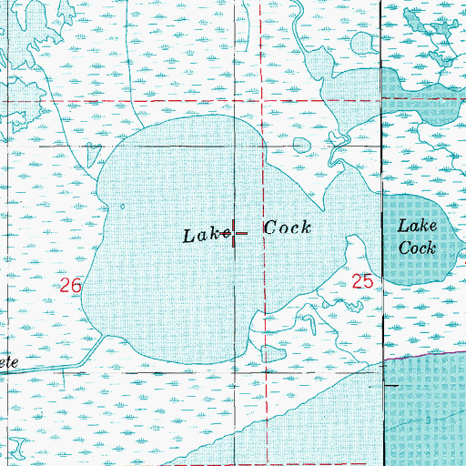 Topographic Map of Lake Cock, LA