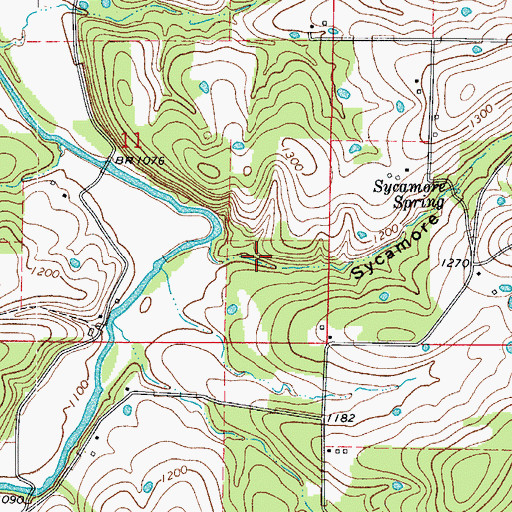 Topographic Map of Sycamore Hollow, AR