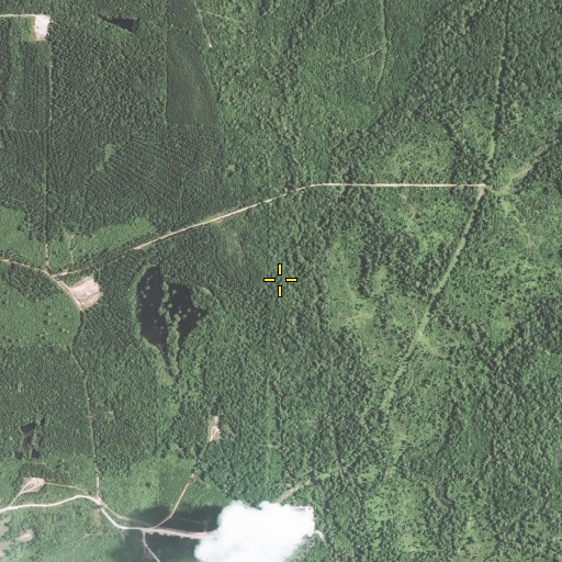 Aerial/Satellite Image of Cotton Valley Oil and Gas Field, LA