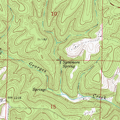 Topographic Map of Sycamore Spring, AR