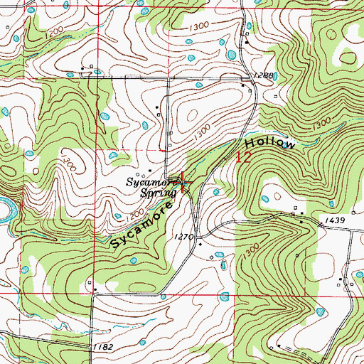 Topographic Map of Sycamore Spring, AR