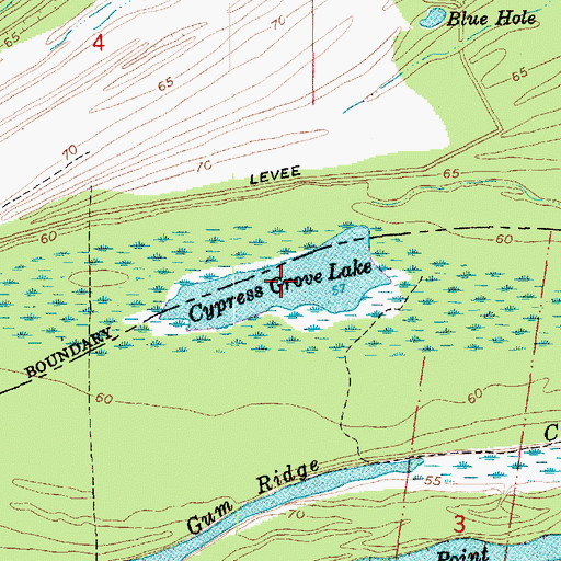 Topographic Map of Cypress Grove Lake, LA